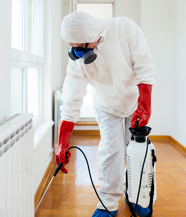 Emergency pest control inspection
